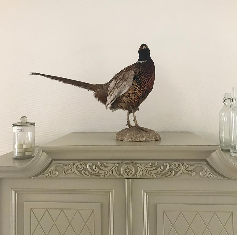 Vita Huset B&B Soelvesborg Dış mekan fotoğraf